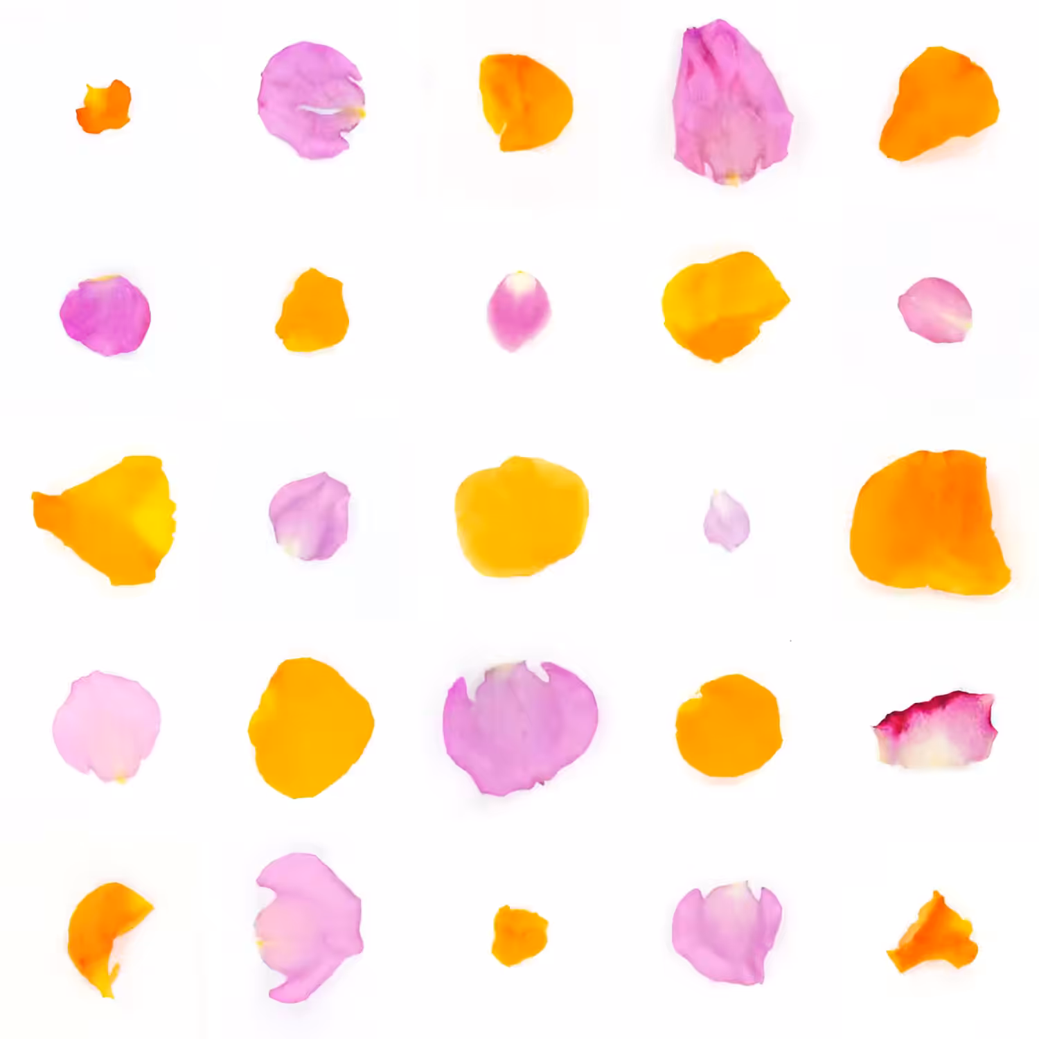 Infinite Petals 5x5#804