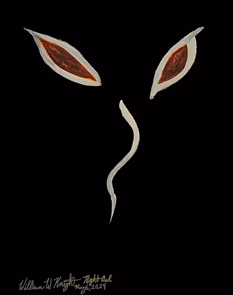 Bill Knight's Art: Night Owl
