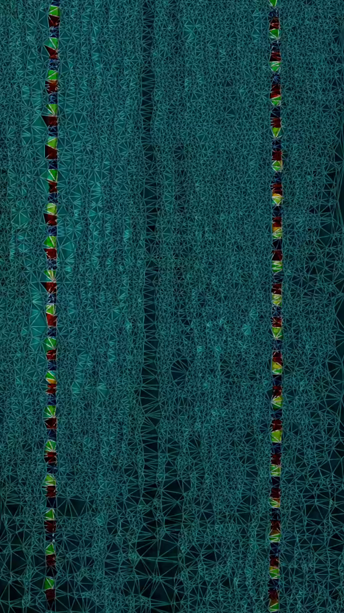 SWIMMER