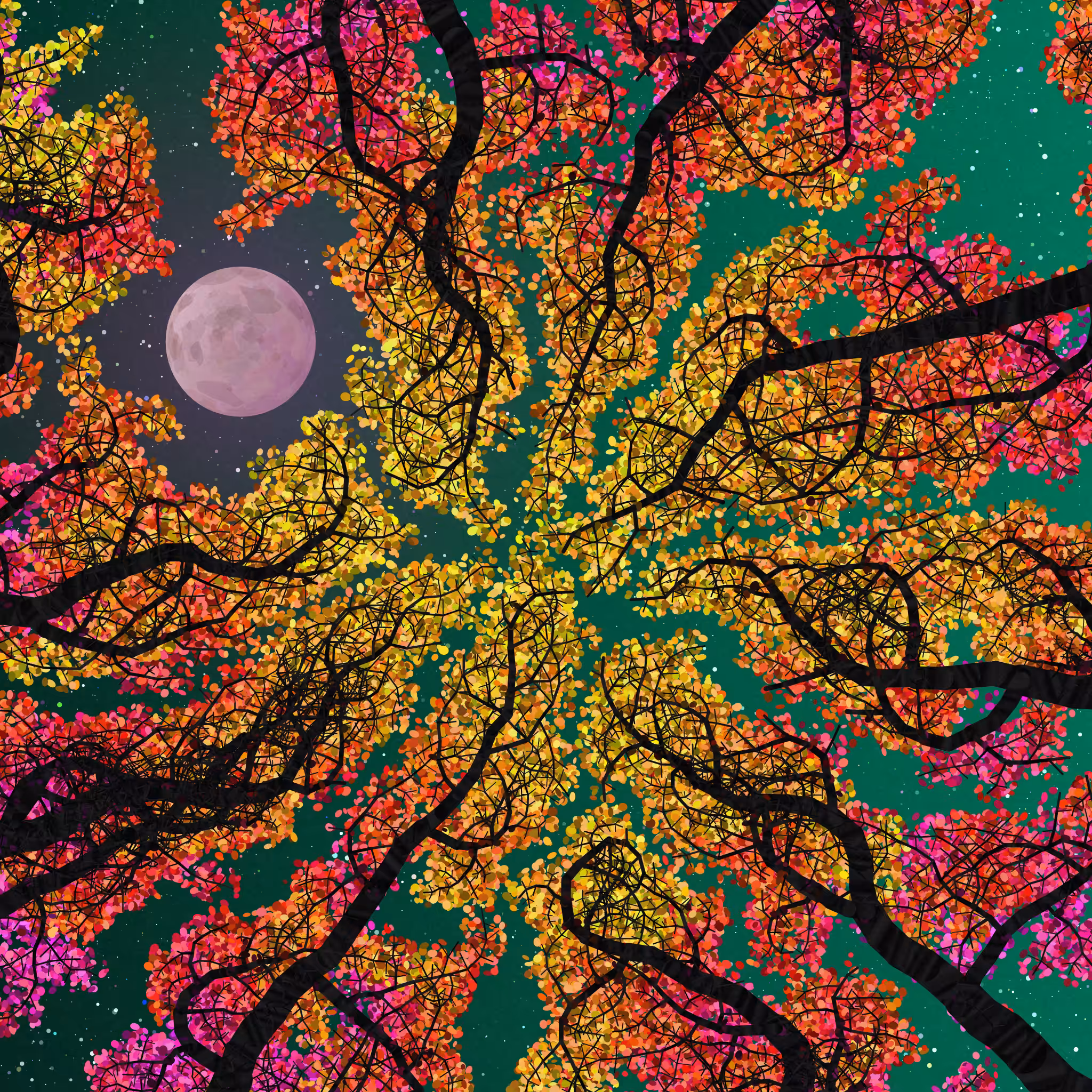 Tree Skyness #201