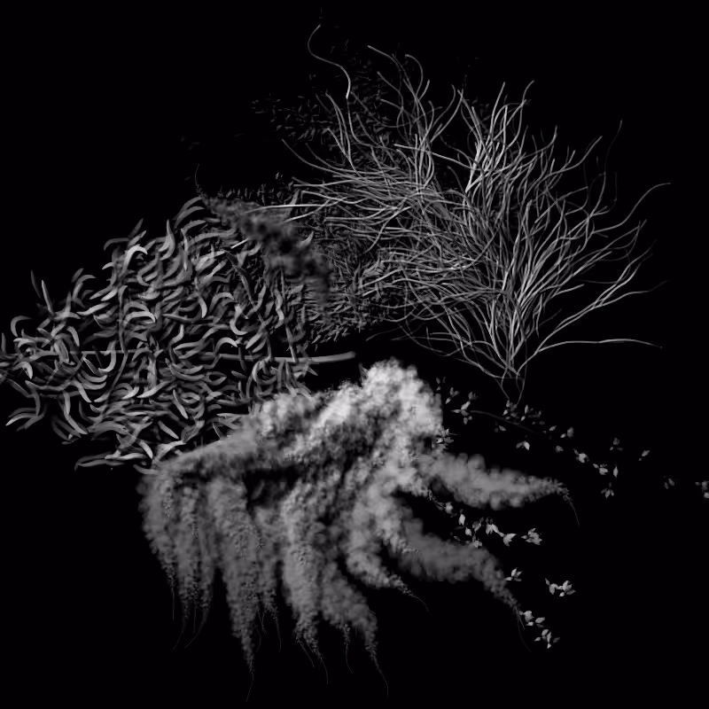 Botanical Ghosts #305
