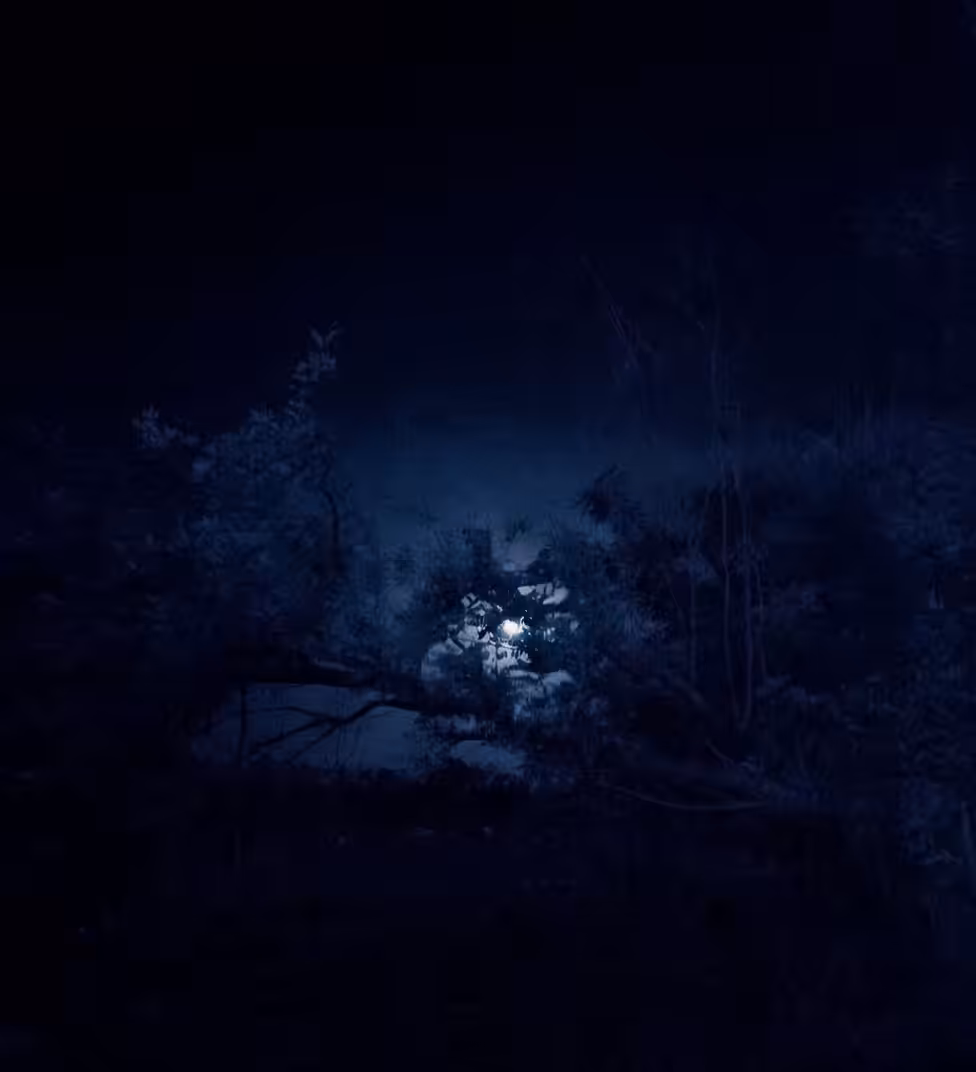NOCTURNE