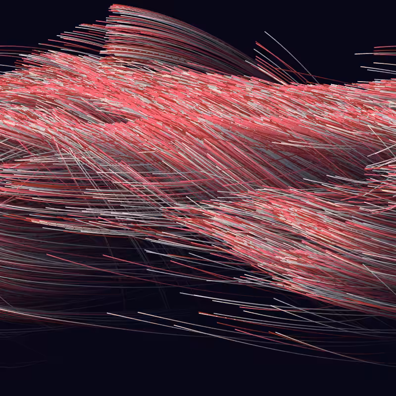 Strange Attractor Swarm #16