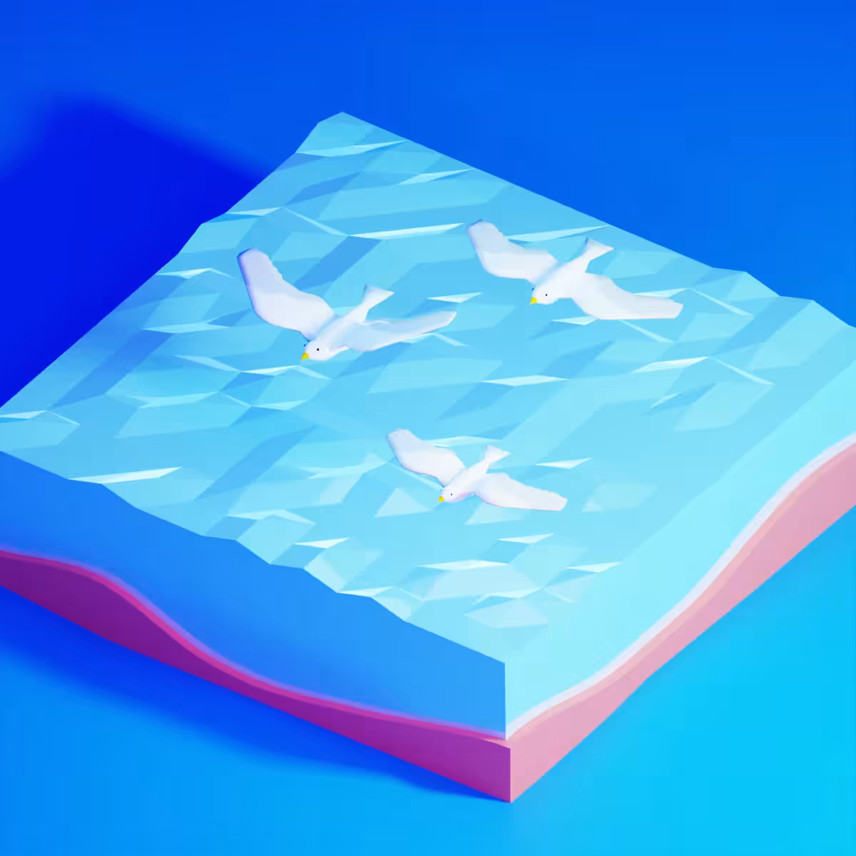 Seagull