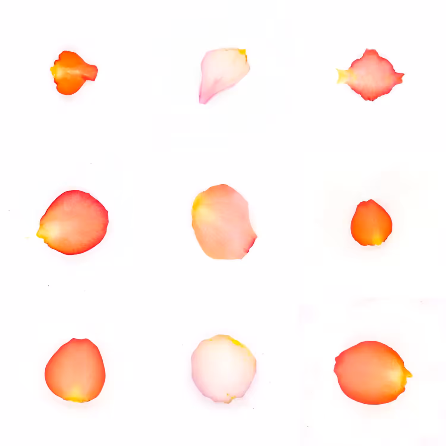Infinite Petals 3x3#3303