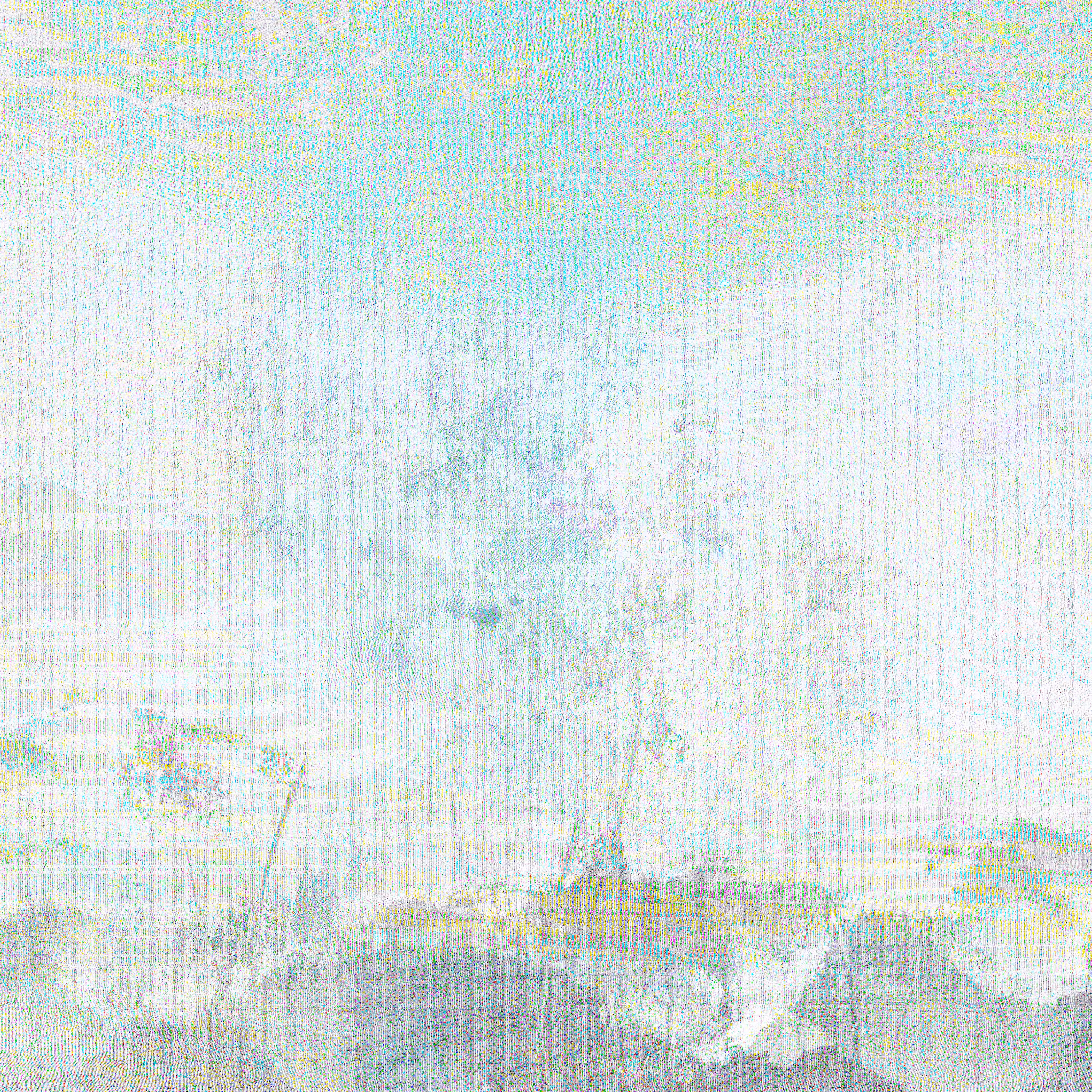 V029
