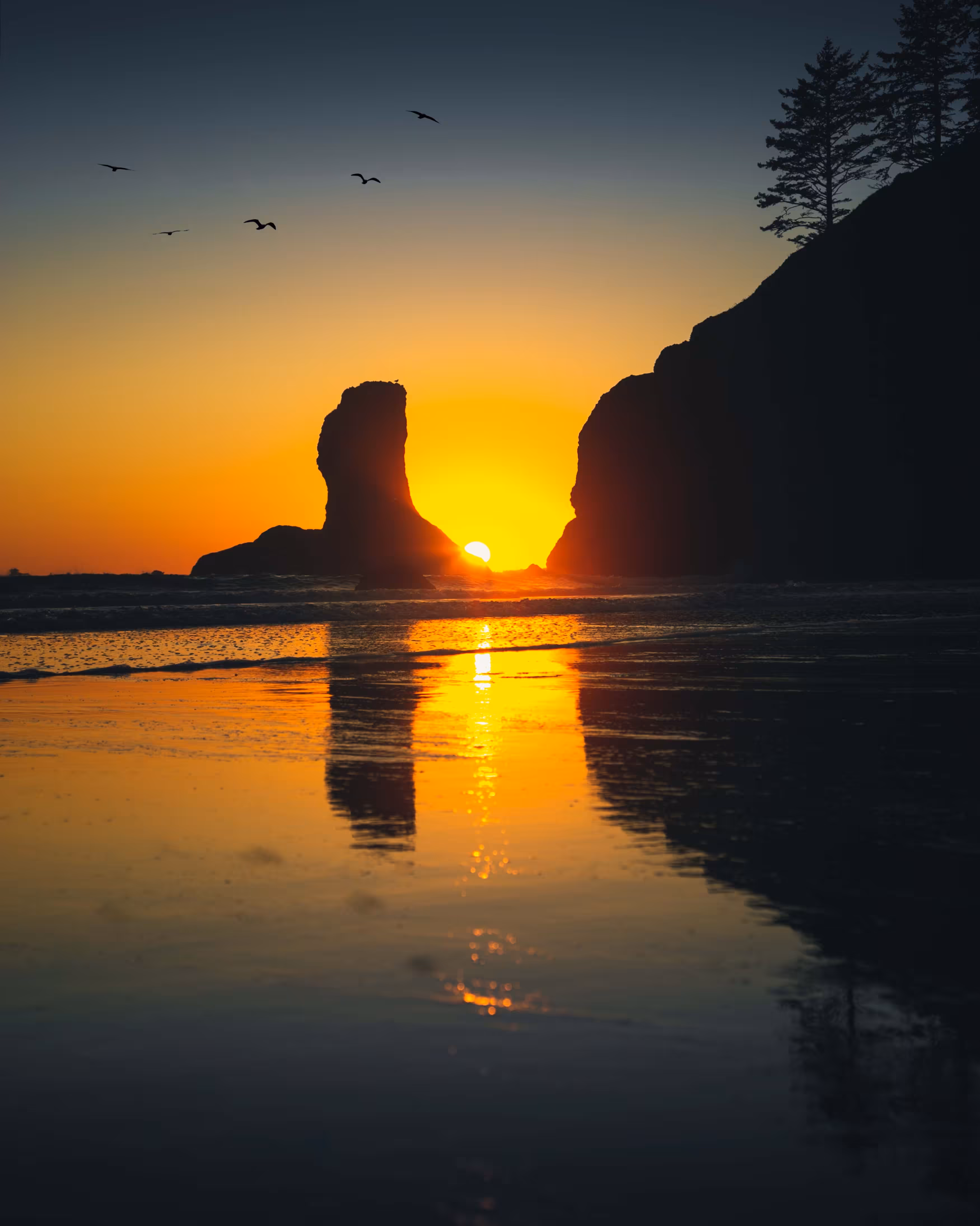 Olympic Sunset