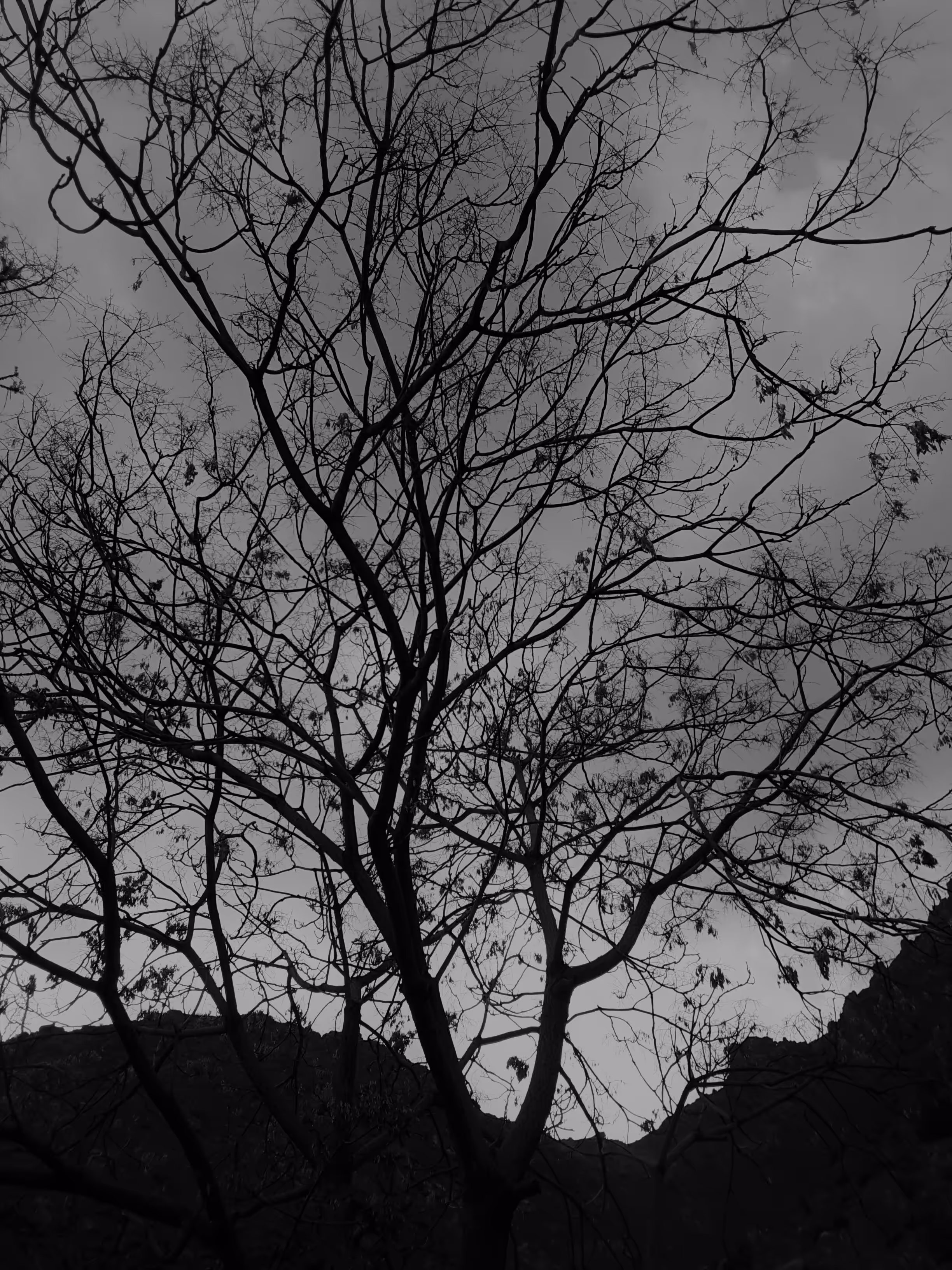 lonely