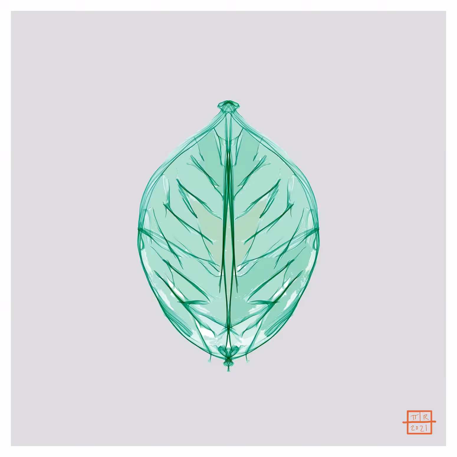 Leaf