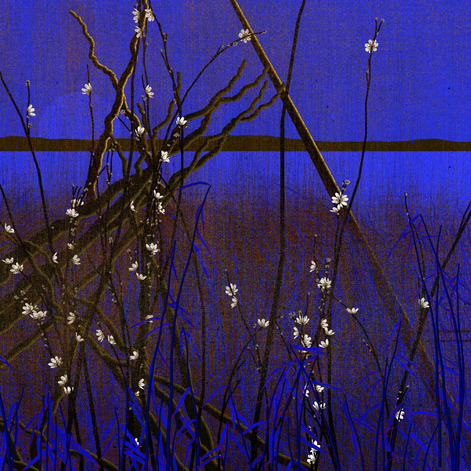Dry twigs #56