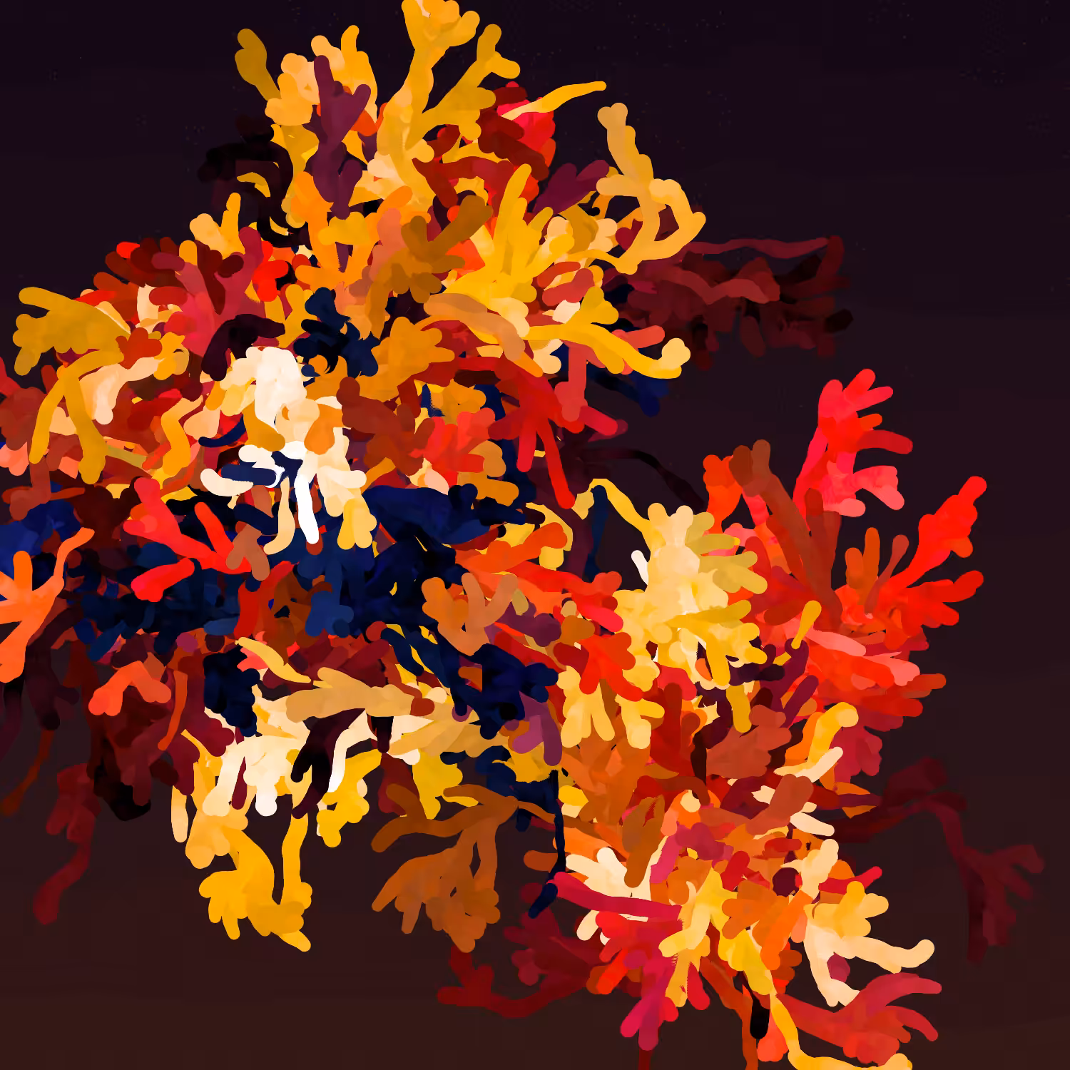 Corals #4