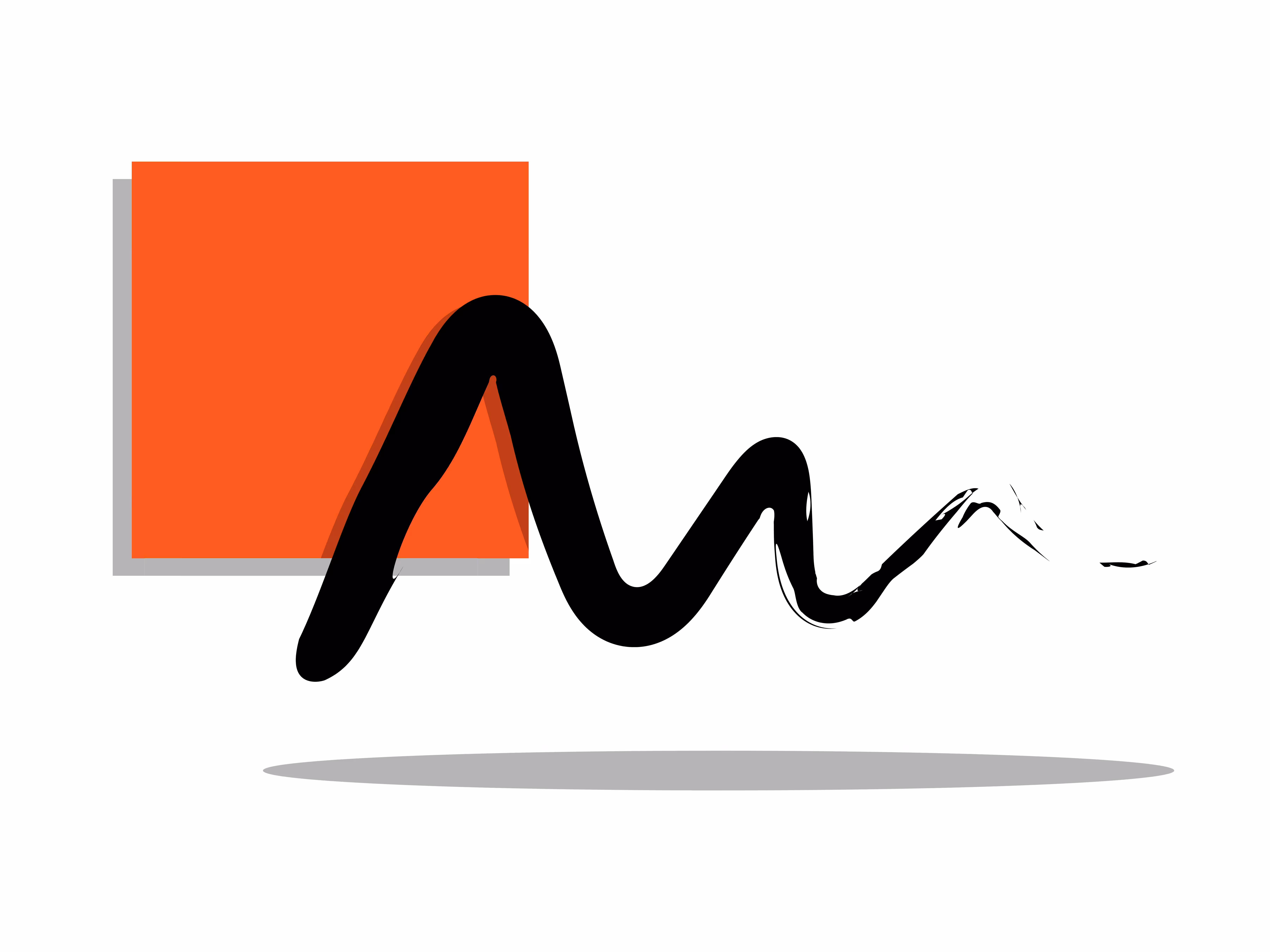 Fluid Dynamic
