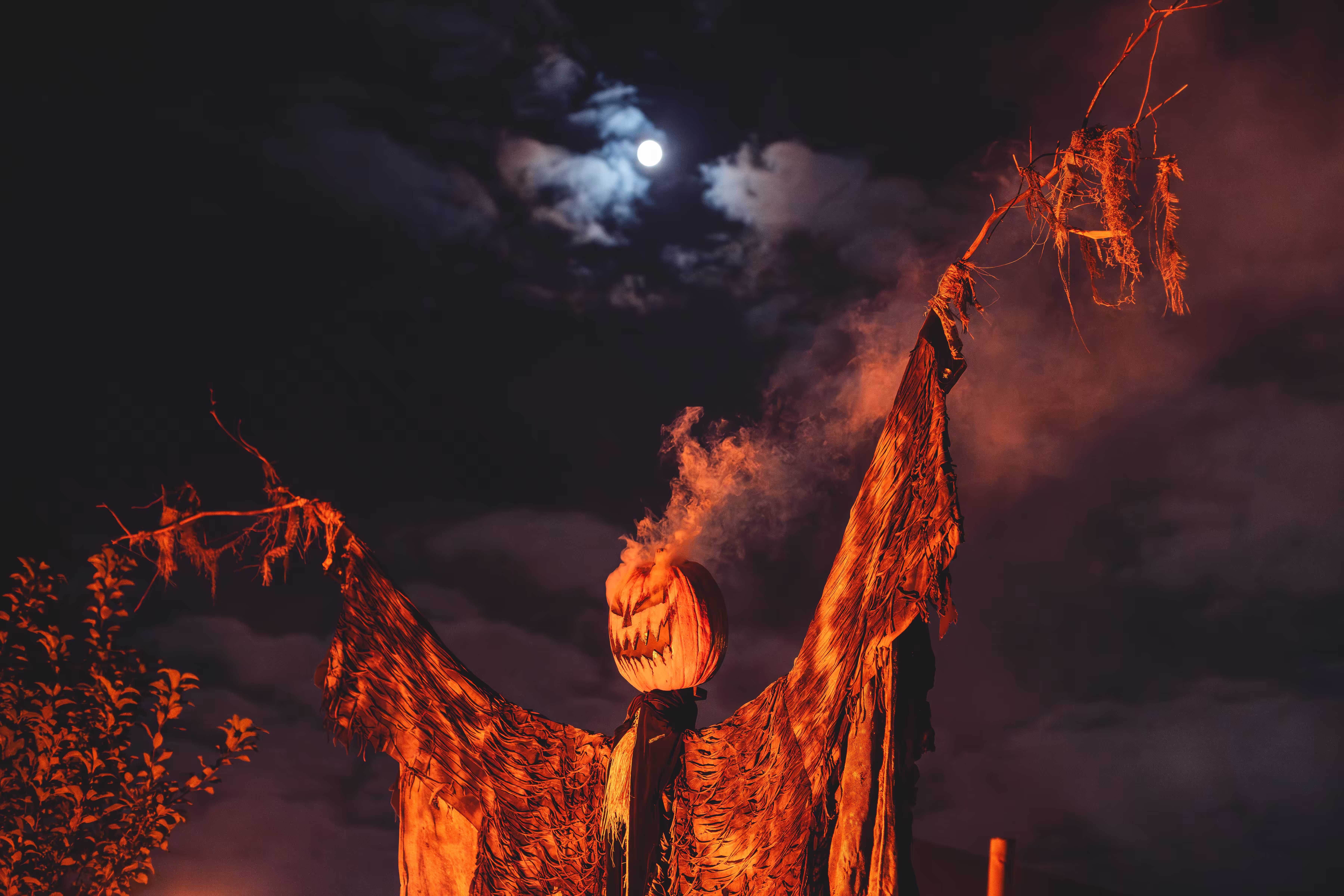 HALLOWEEN JACK