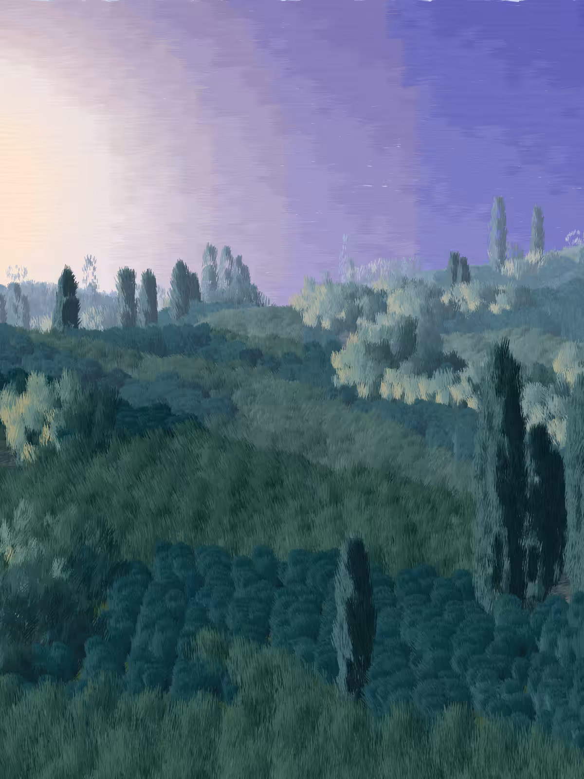 Provence #129