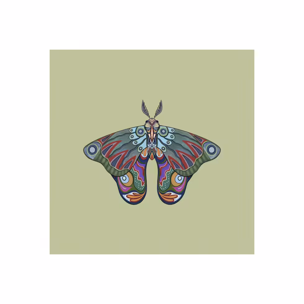 The Moth Experiment  #40