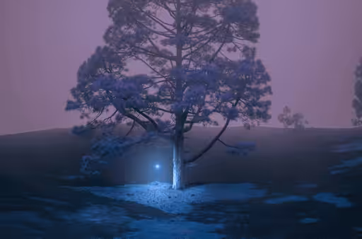 Consciousness