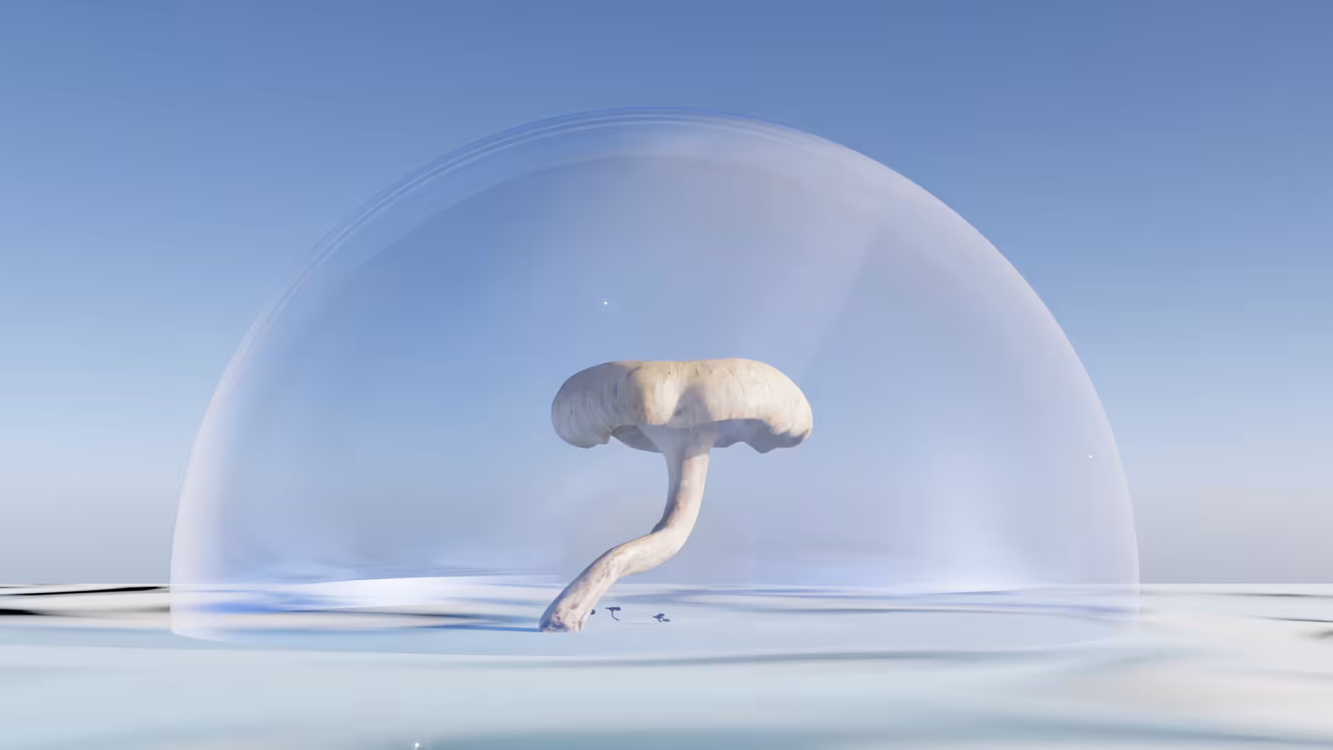 Fragile Existence #01