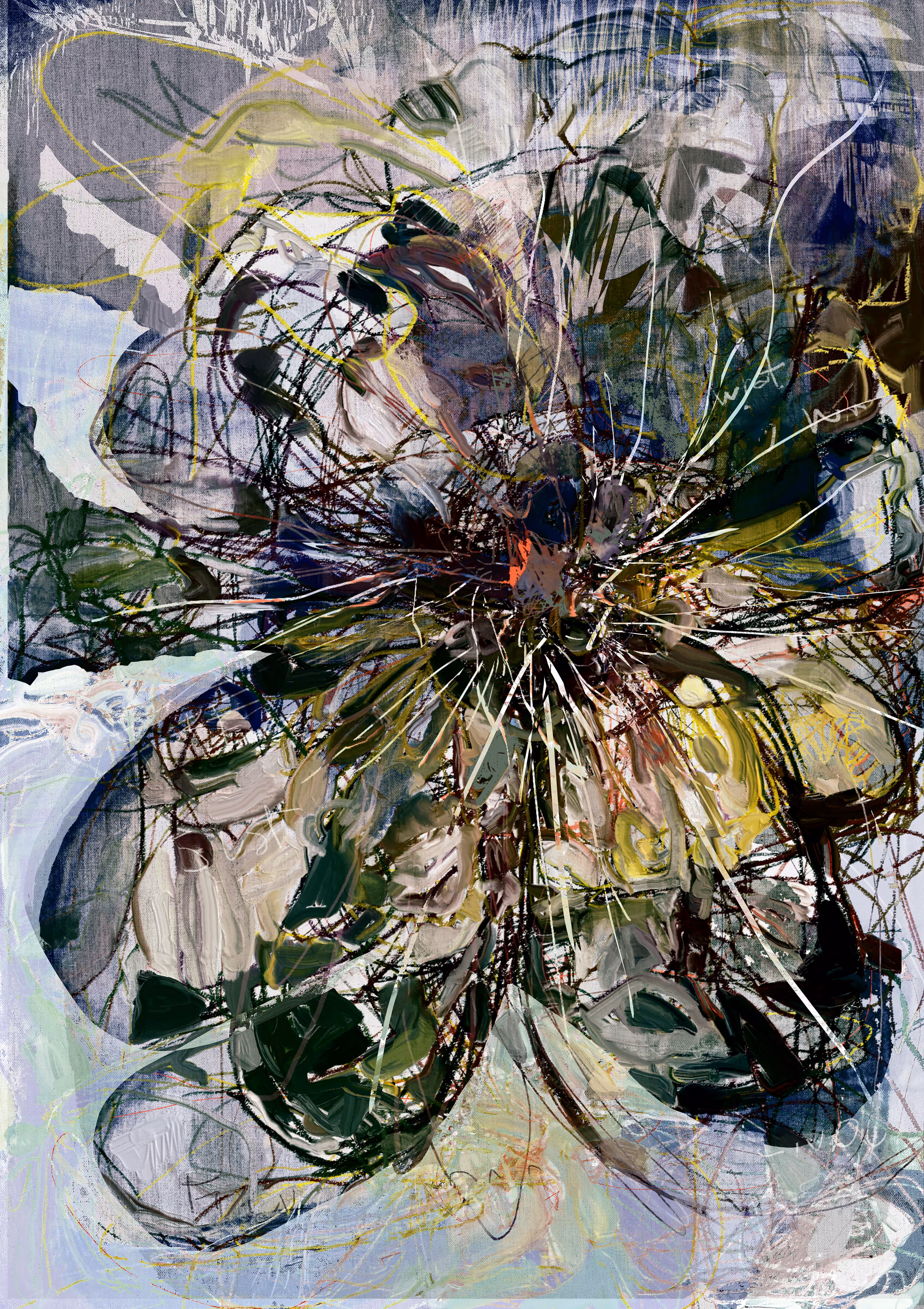 Chrysanthemums blue 100C