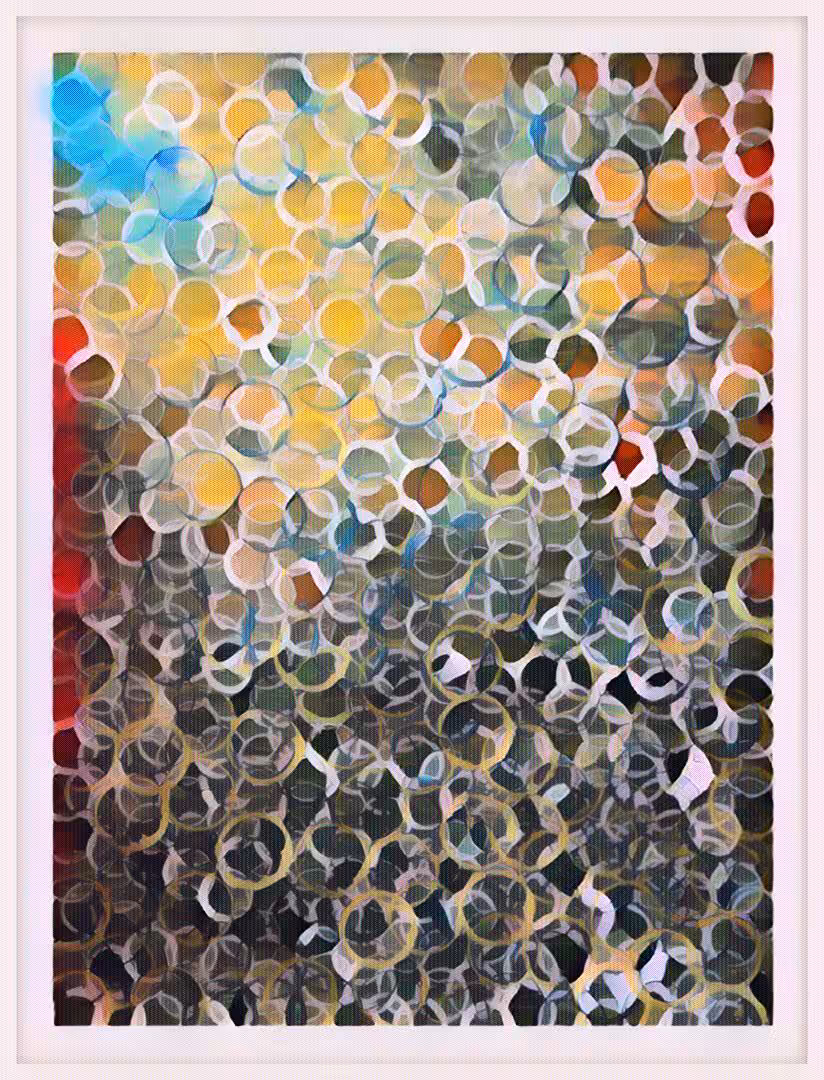 Abstraction in nature