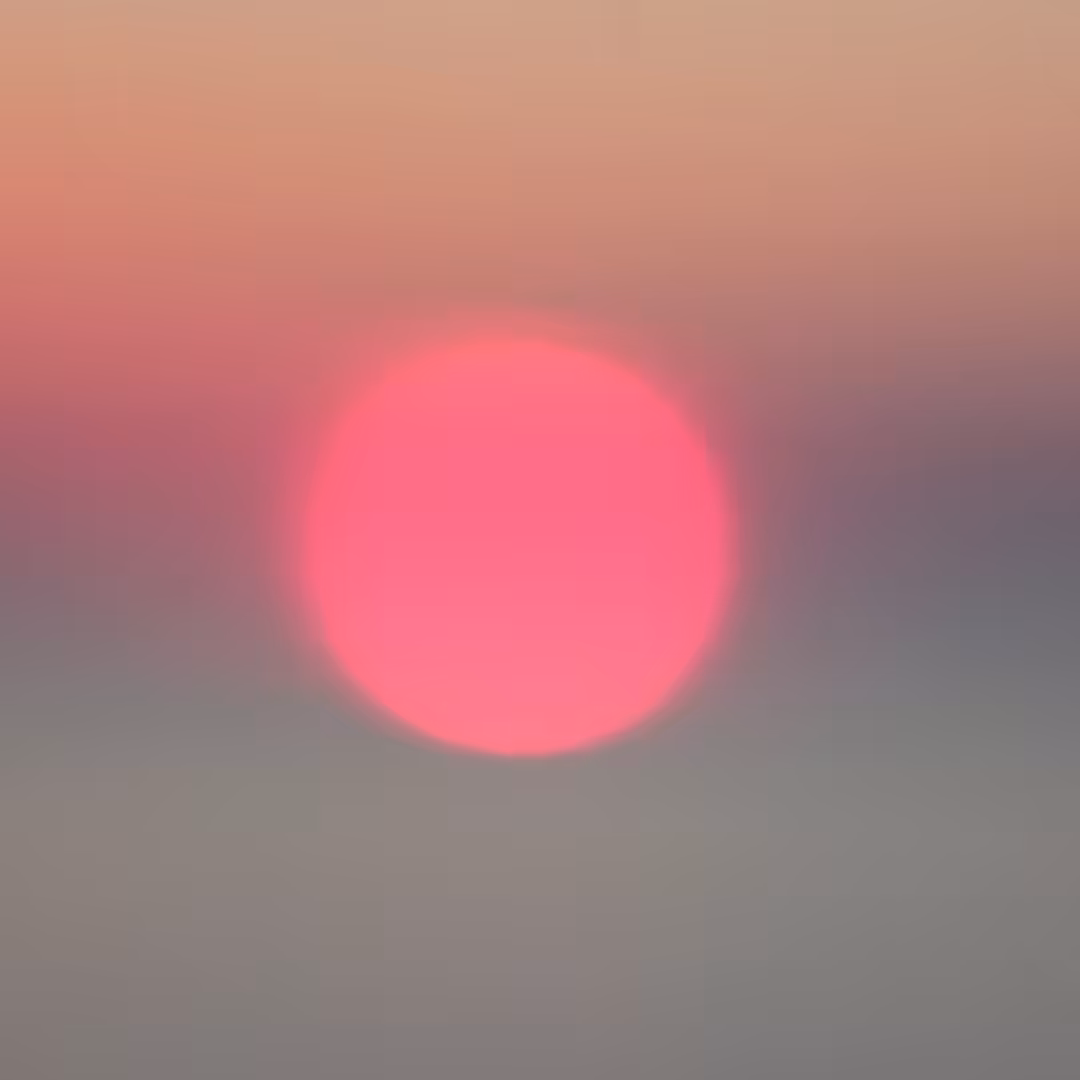 Solvent Suns VI