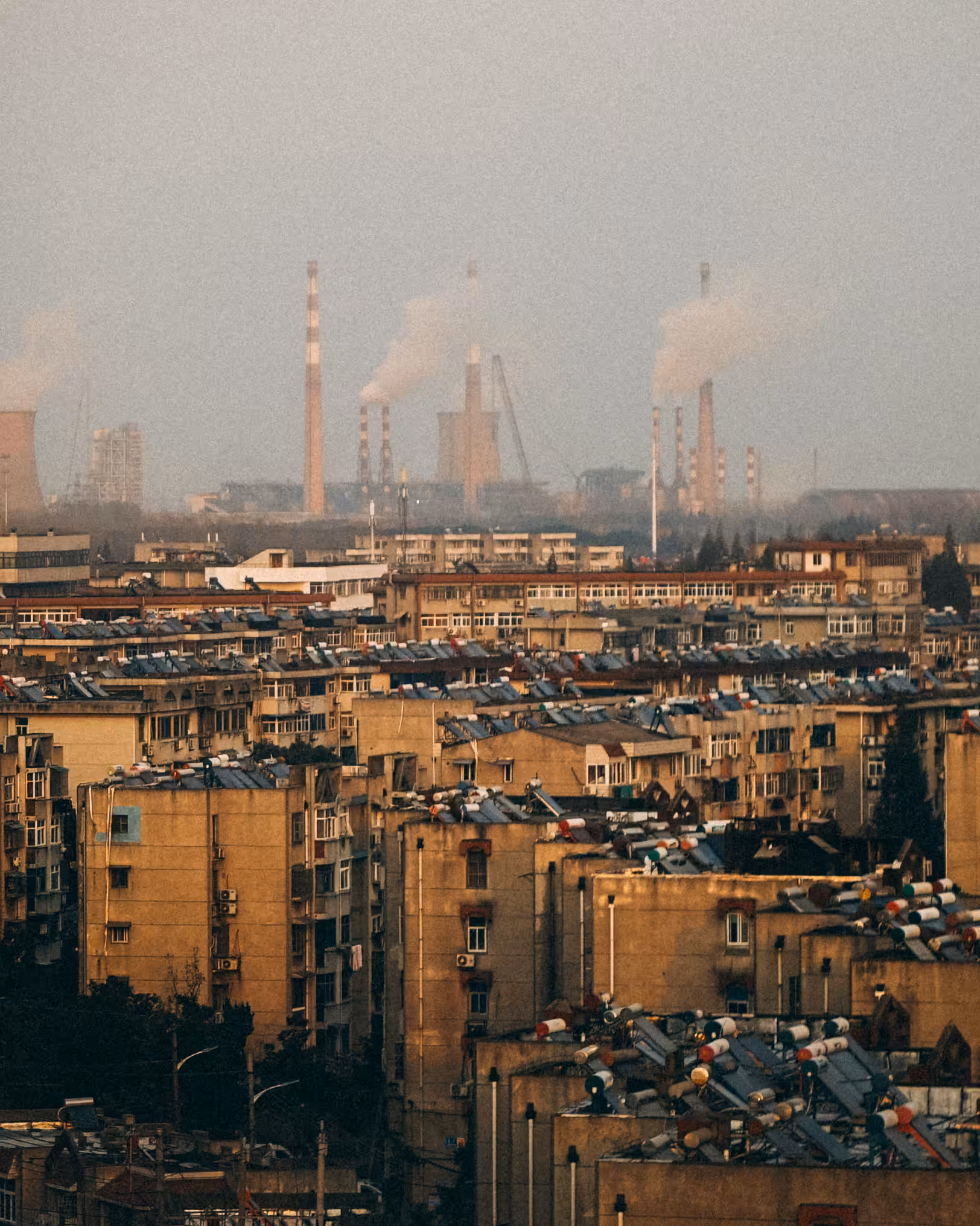 The Dystopia