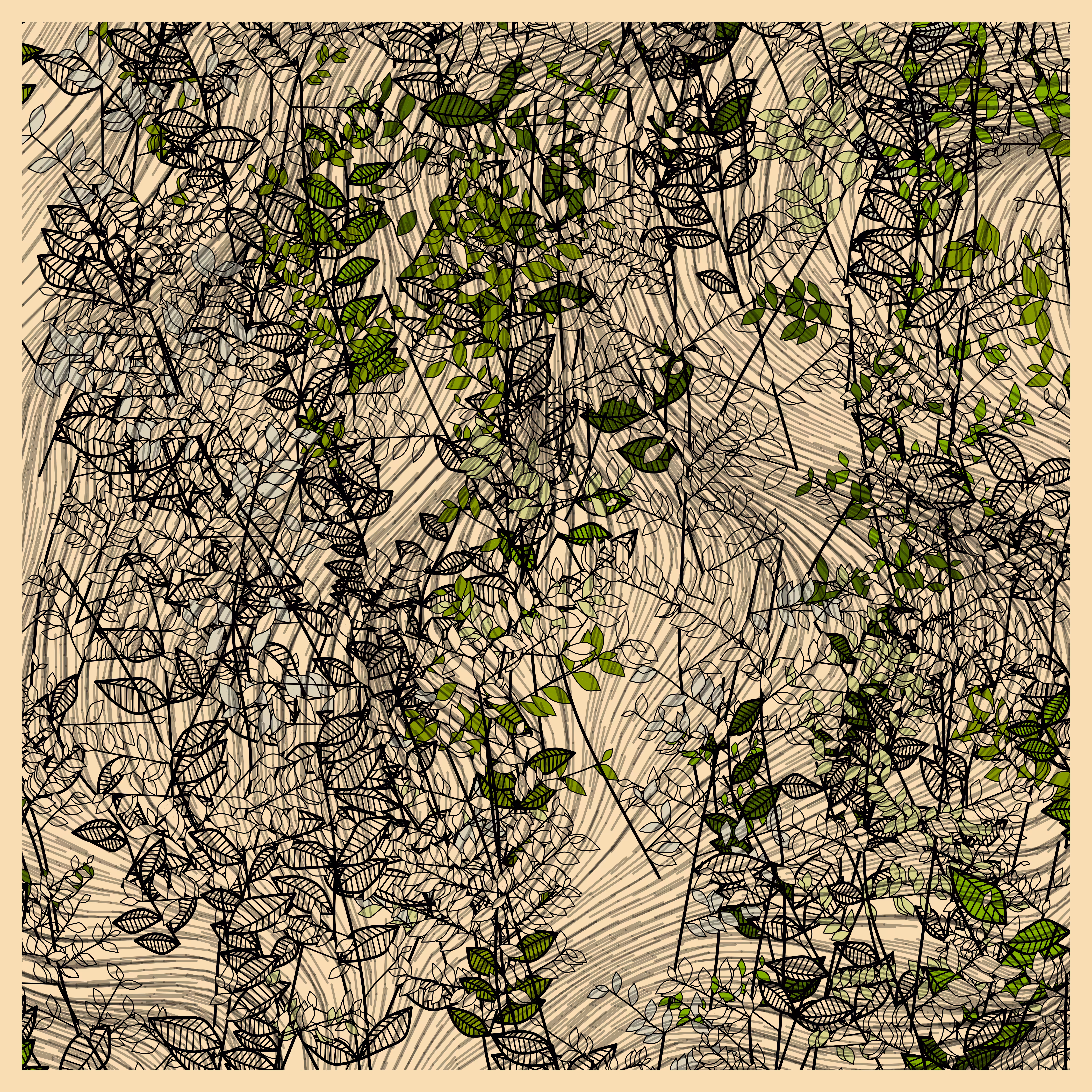 Random Plants #49
