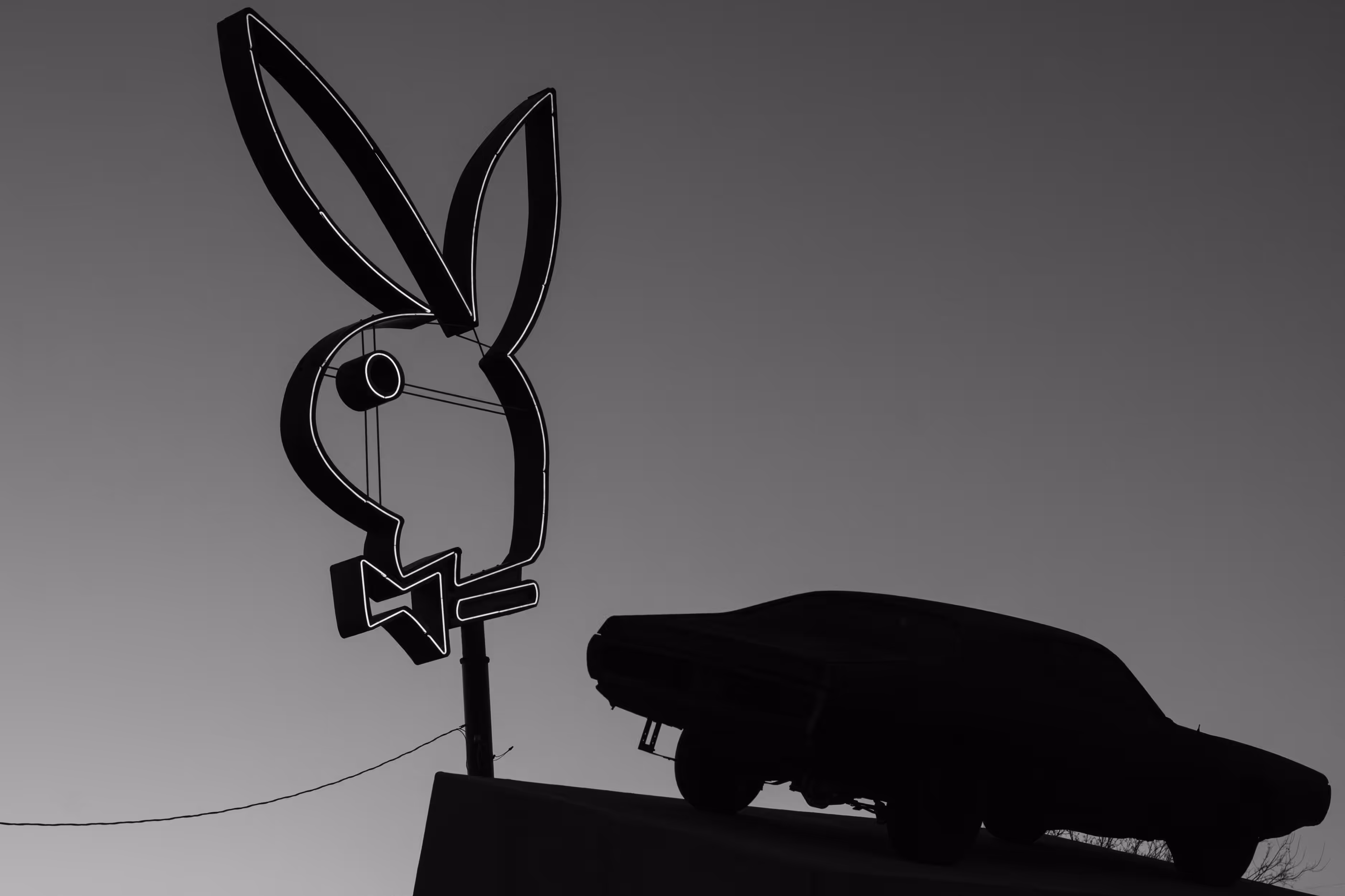Playboy dallas, 2014.