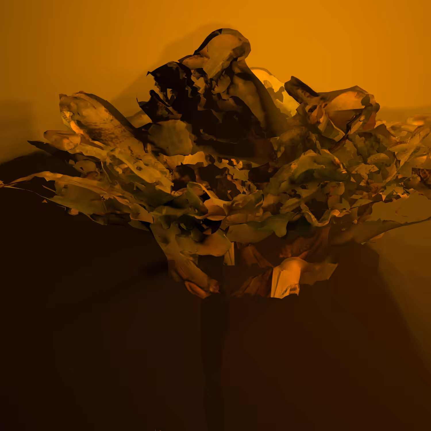 BLOOMCORE #37