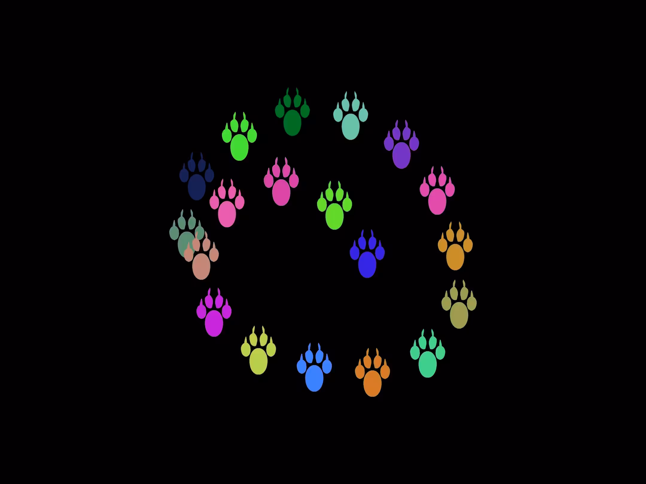 Kitty footprints