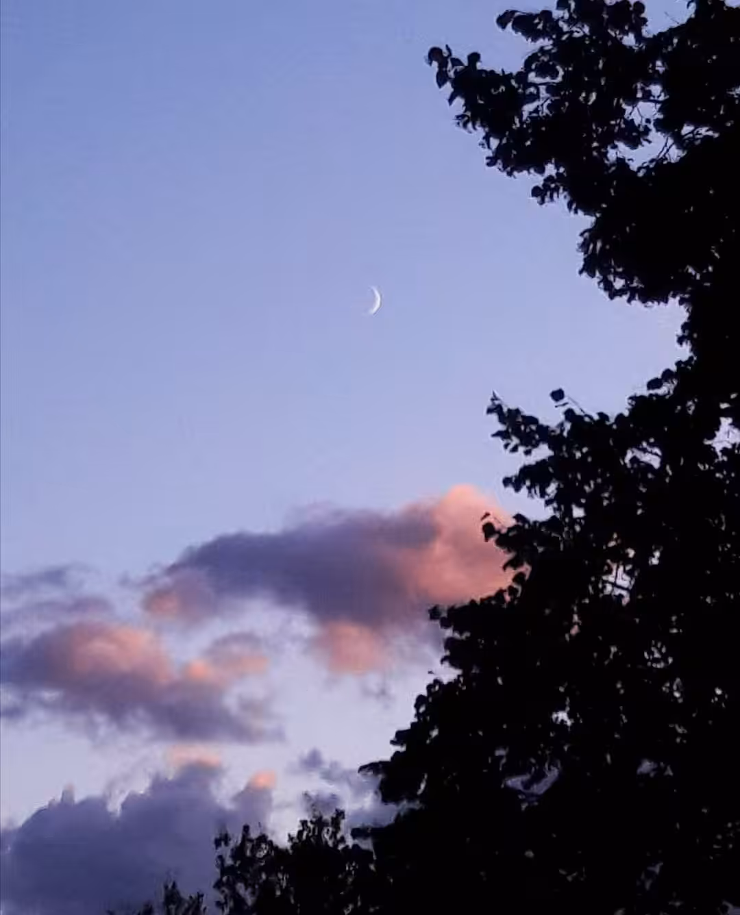 quiet evening