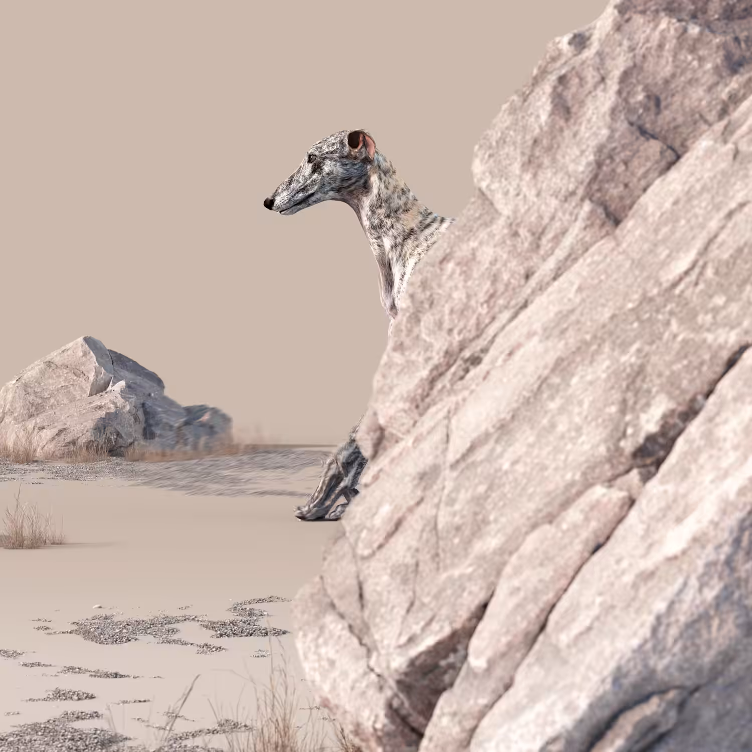 0112_Goodboi_Adventure_2000x2000_24fps_ProRes_422