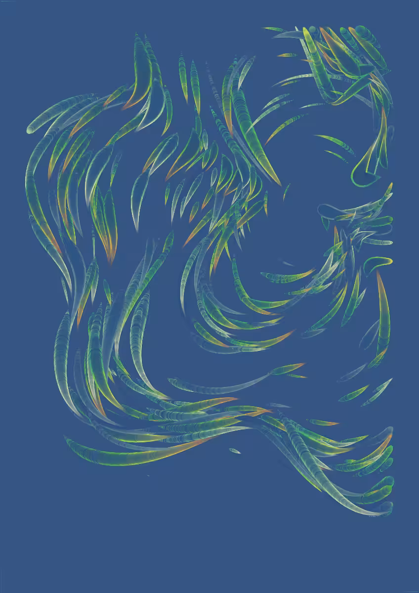 As Light As A Feather #11