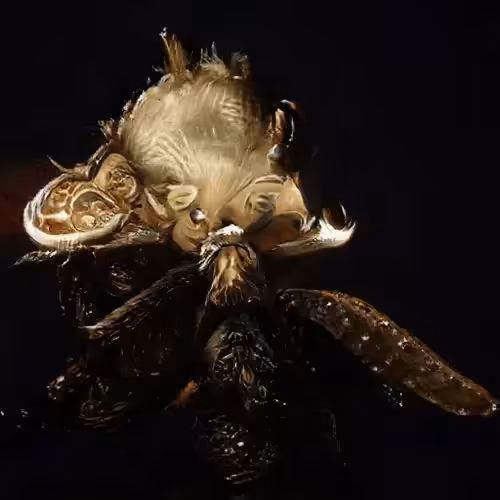 Dark Fairy #1