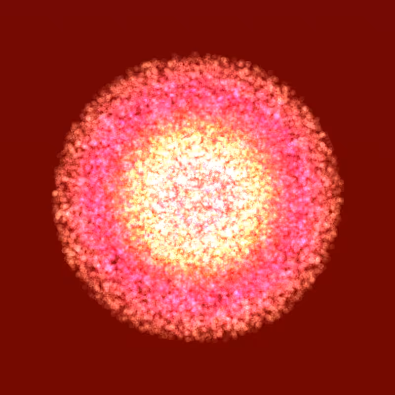 Coalesce #5