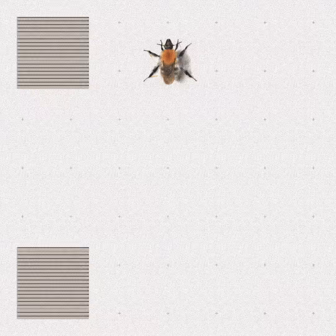Bee #82