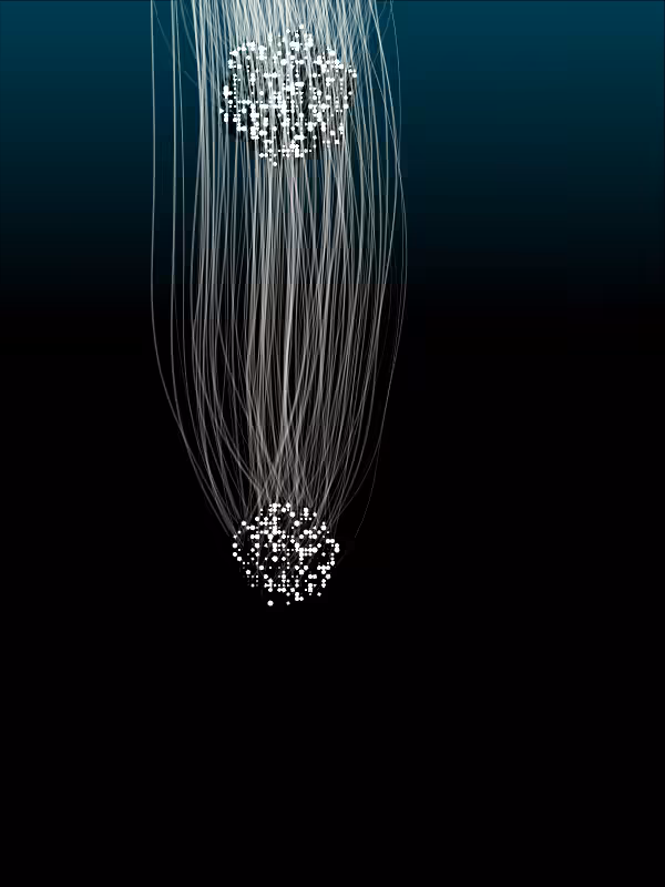 Jellyfish #22