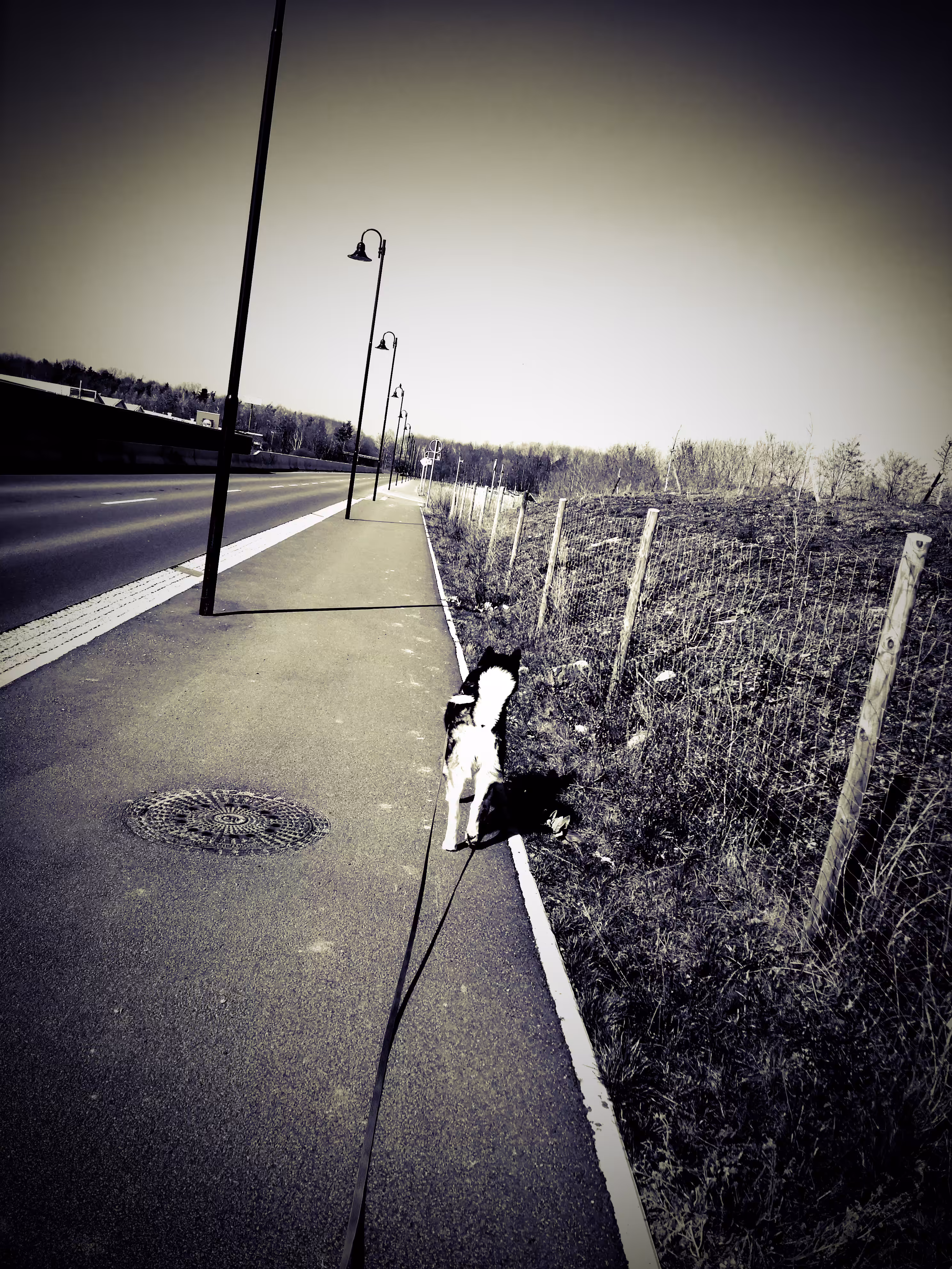 Follow