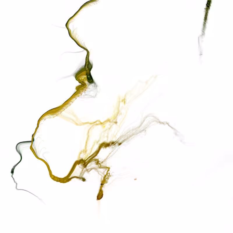 Hypericum #209