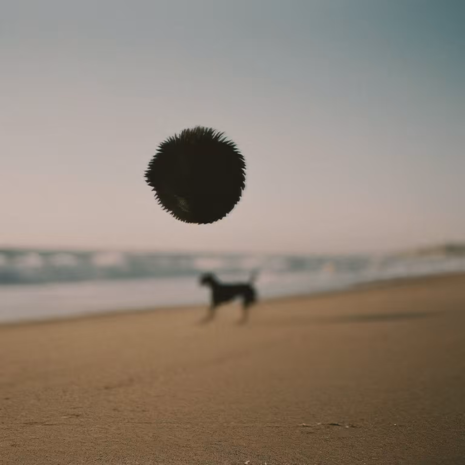 Black Sun Rising