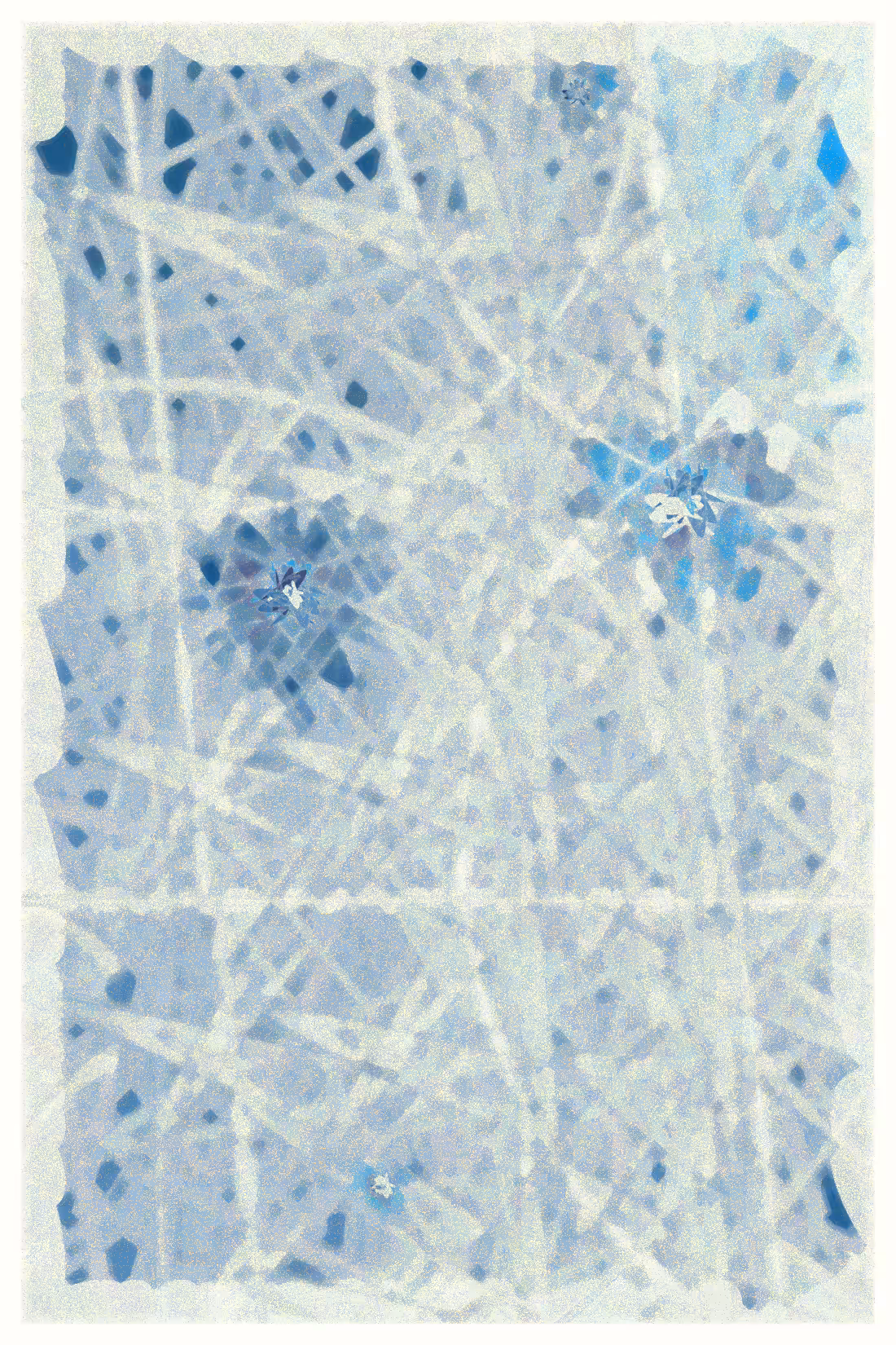 SKY MEADOW #479