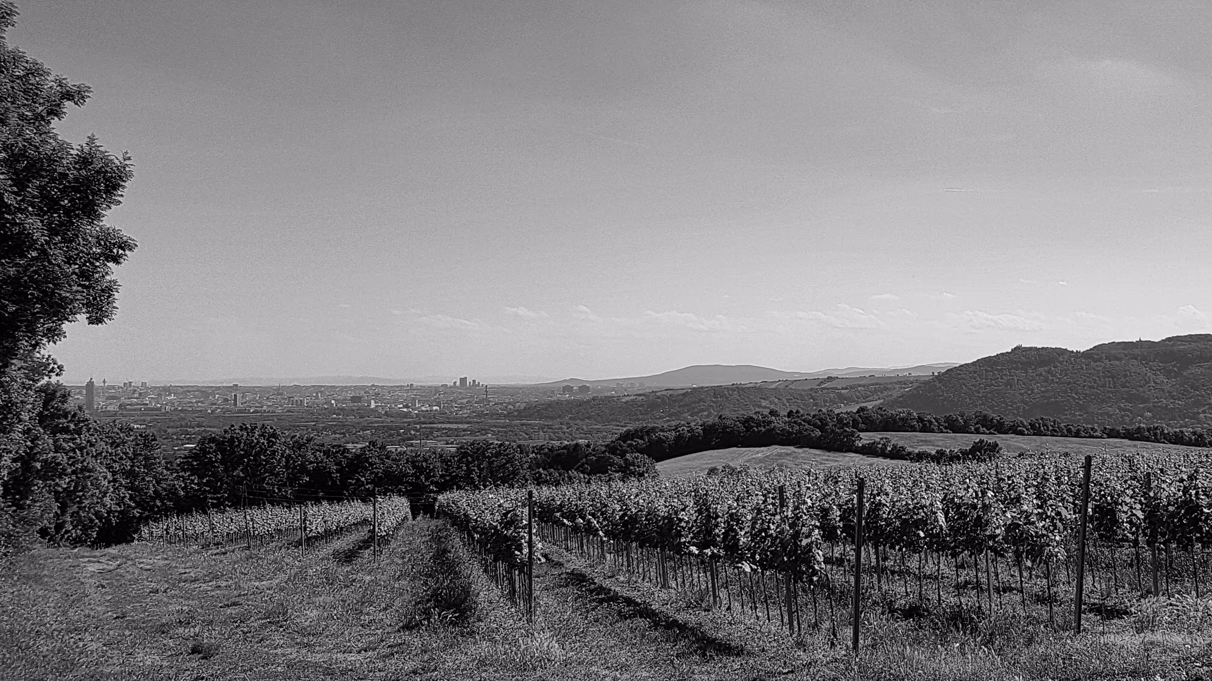 Hometown Black and White Edition