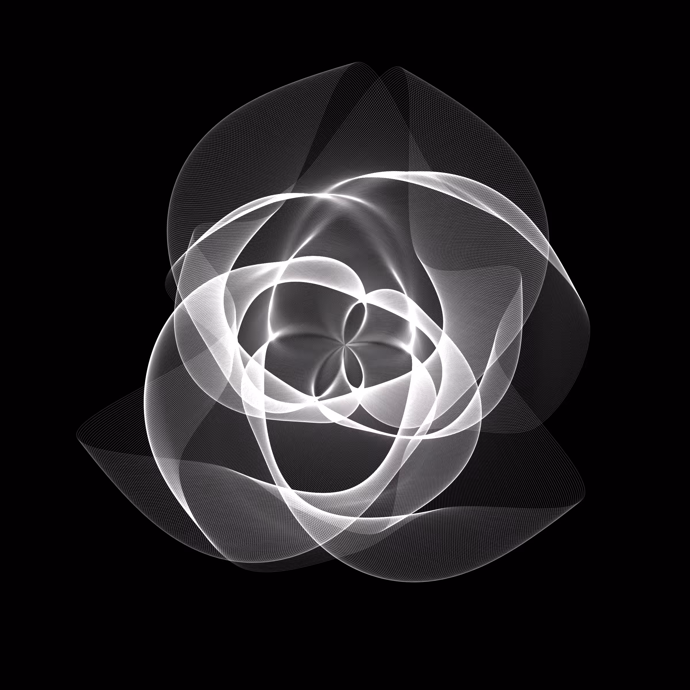 Flowers #3965