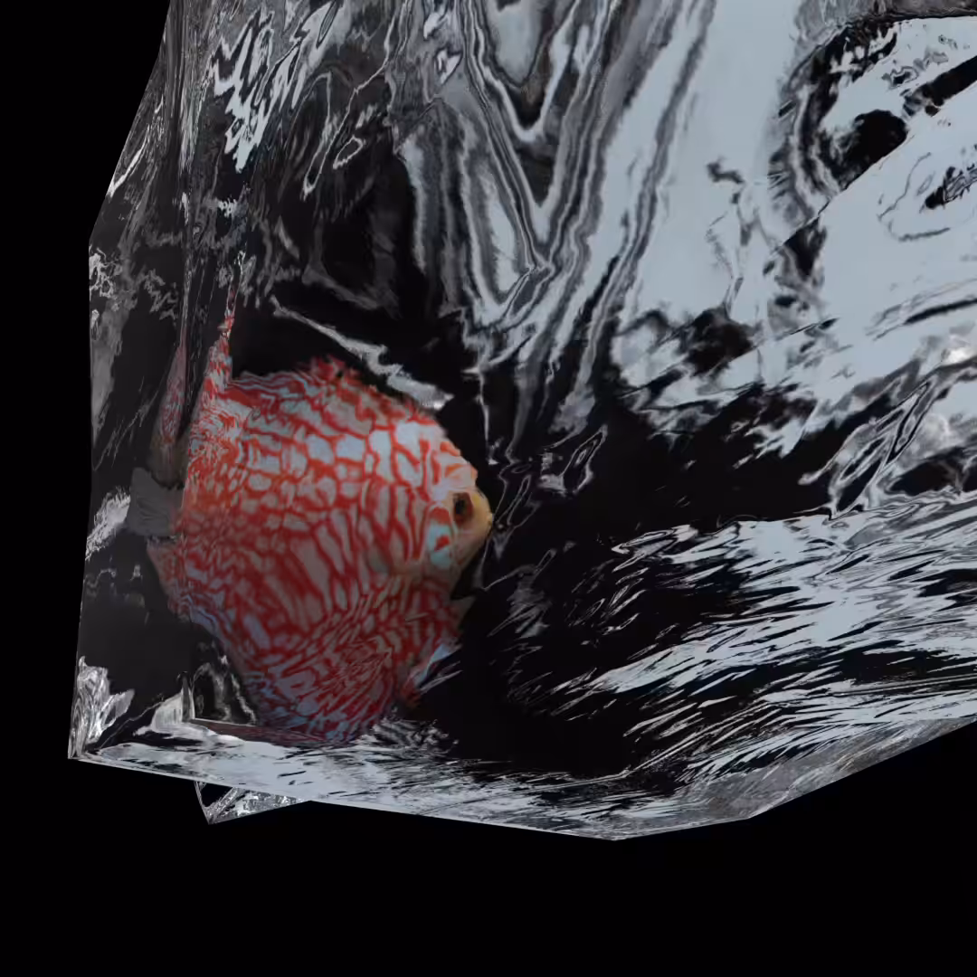 Trash Fish