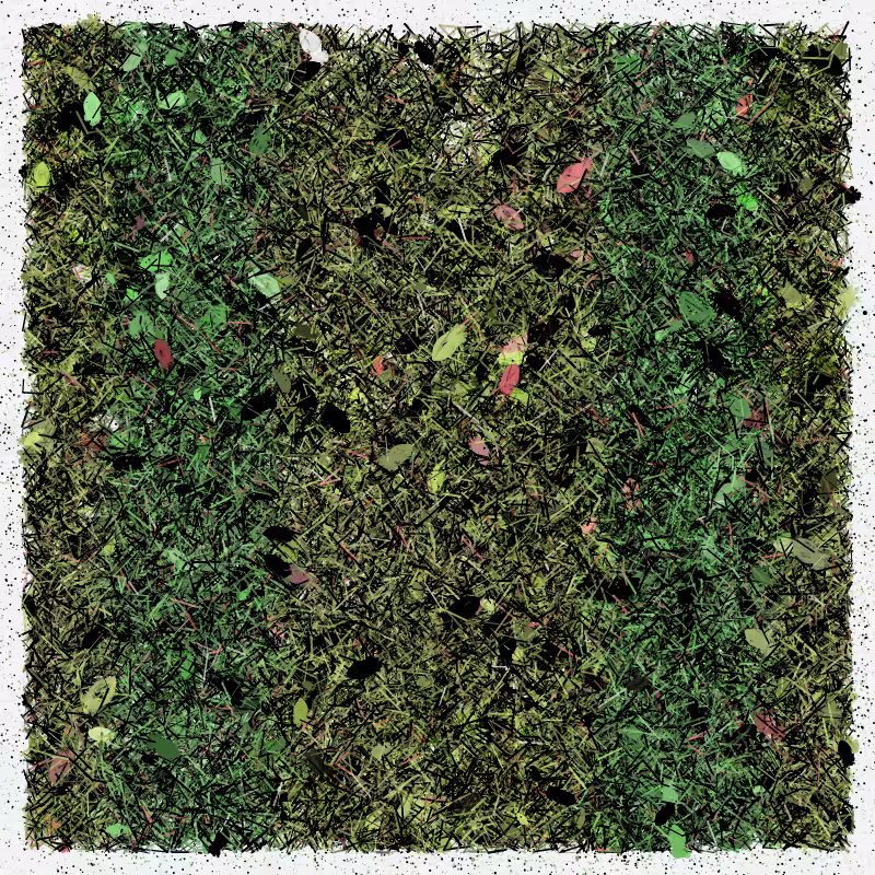 Into the Forestland #22