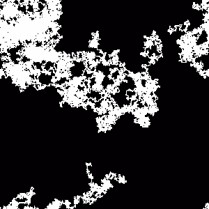 Roseate Resonance 19