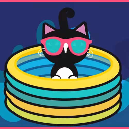 Fun in the Sun Ninjacat