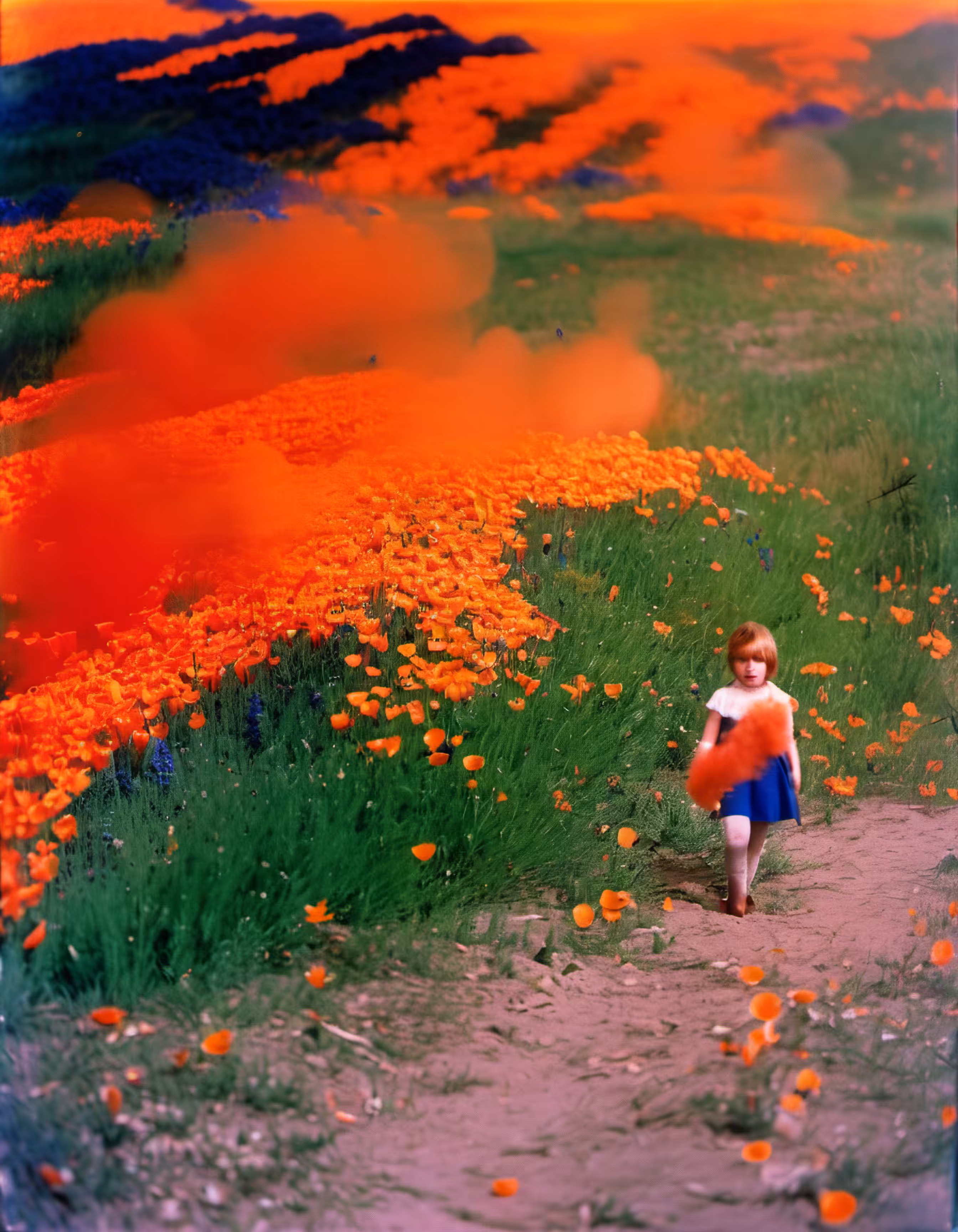 Utopian Hallucinations #6