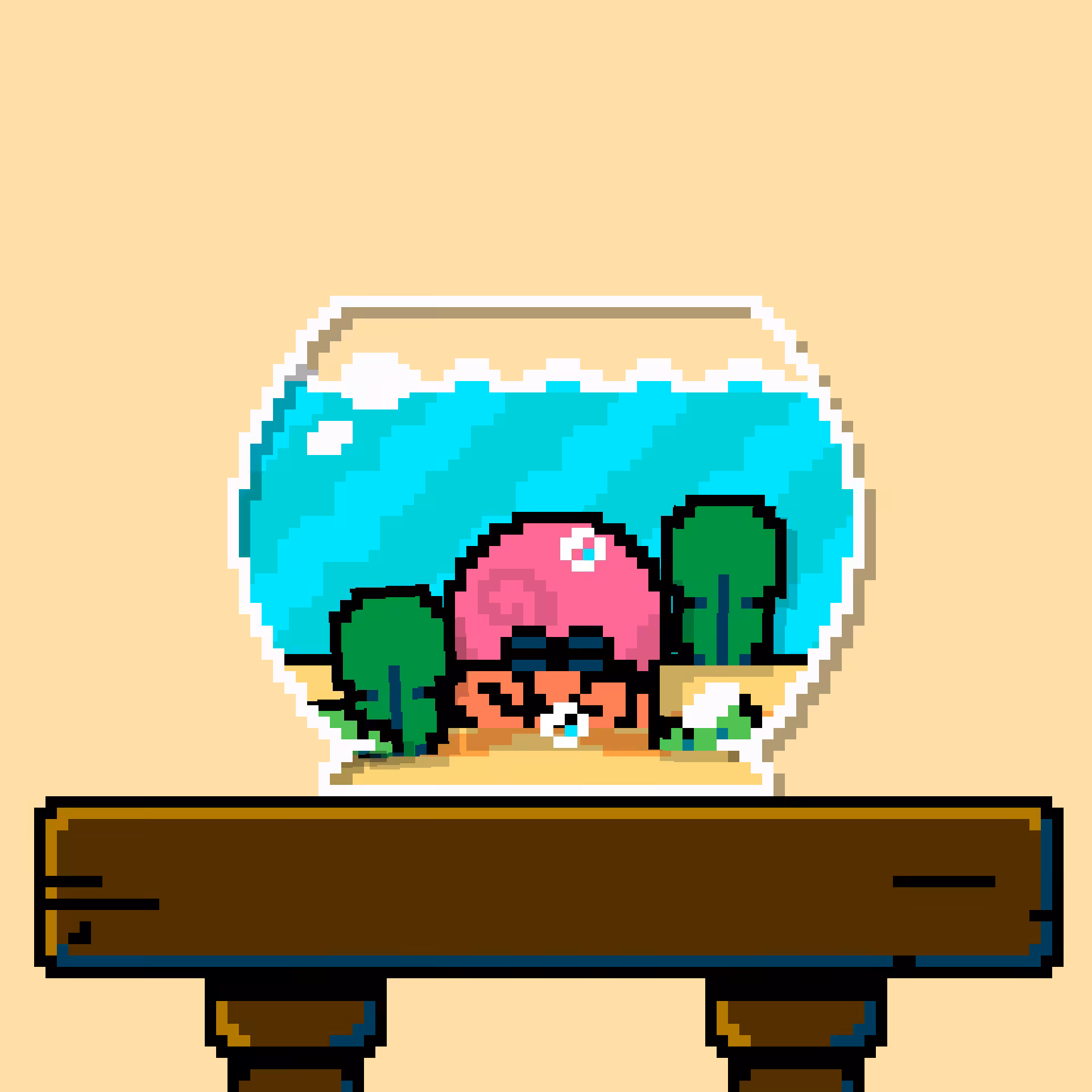 hermit crab #163