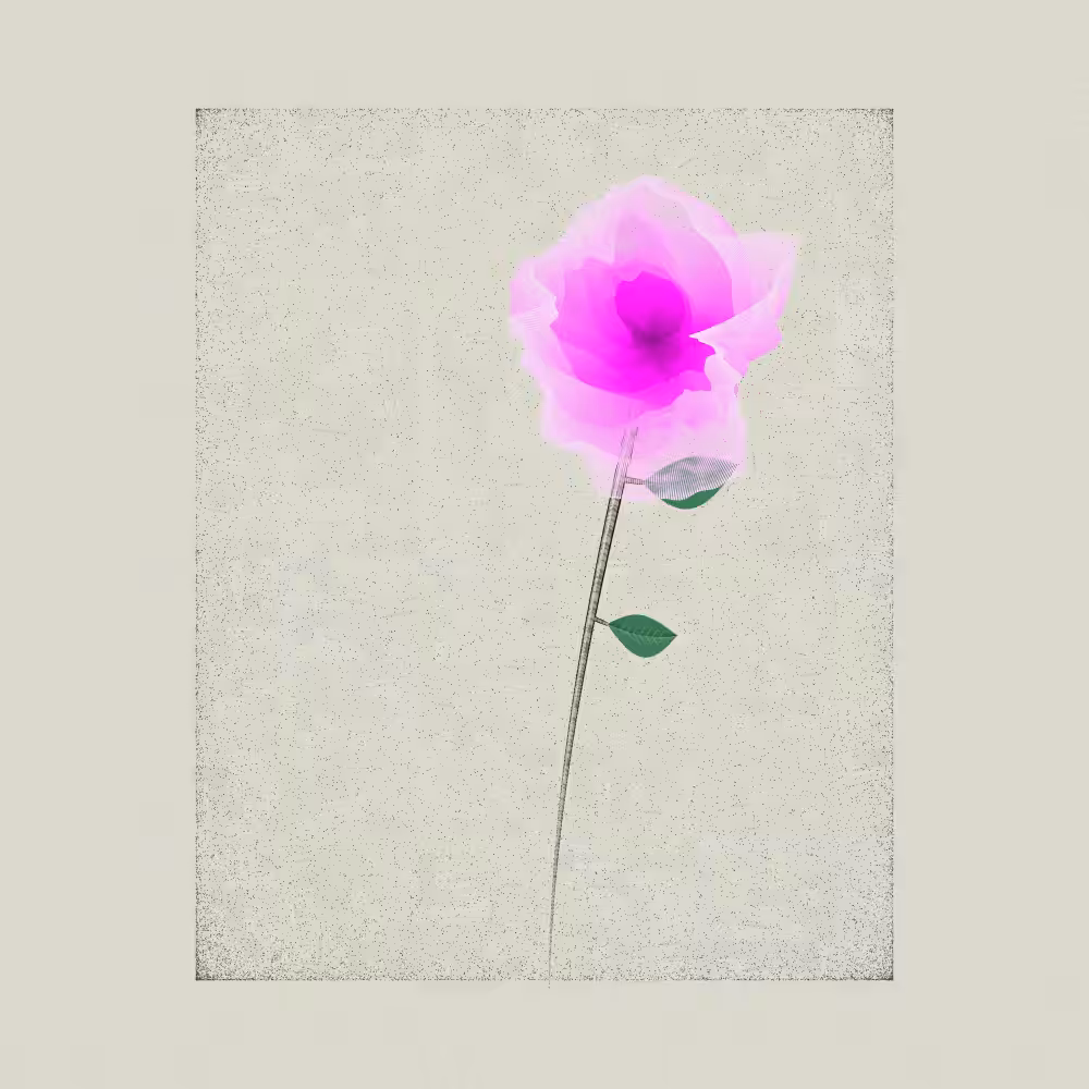 Magnolia #24