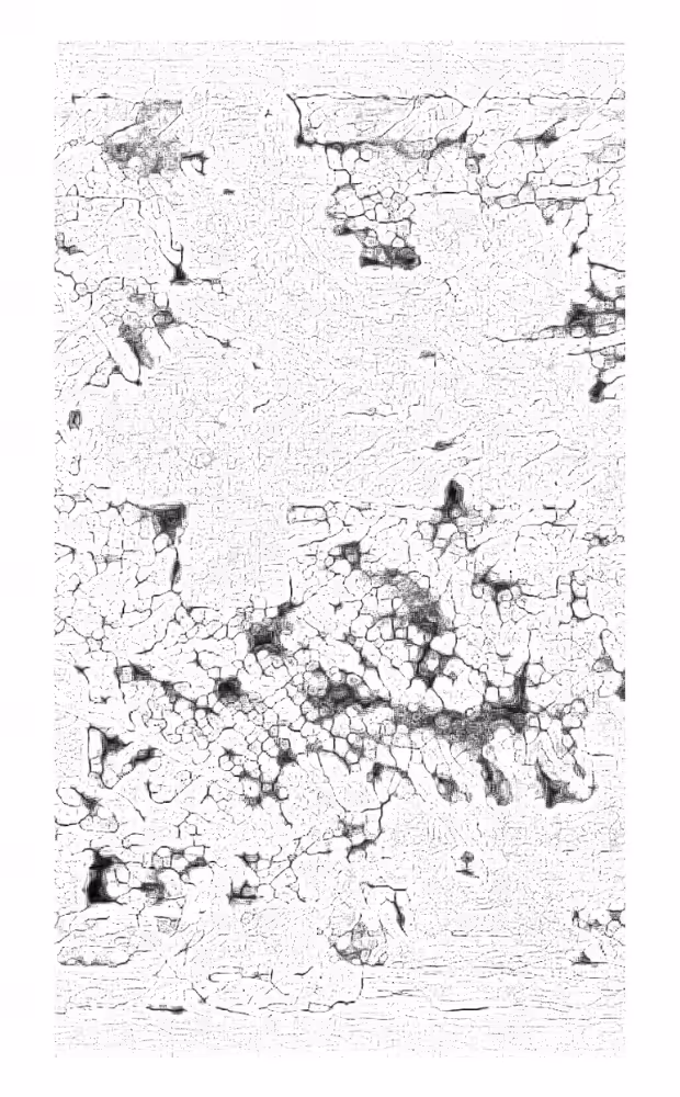 reveal #3